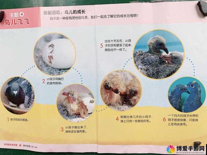 雏鸟幼儿小学生张婉莹：用纯真演绎成长的故事