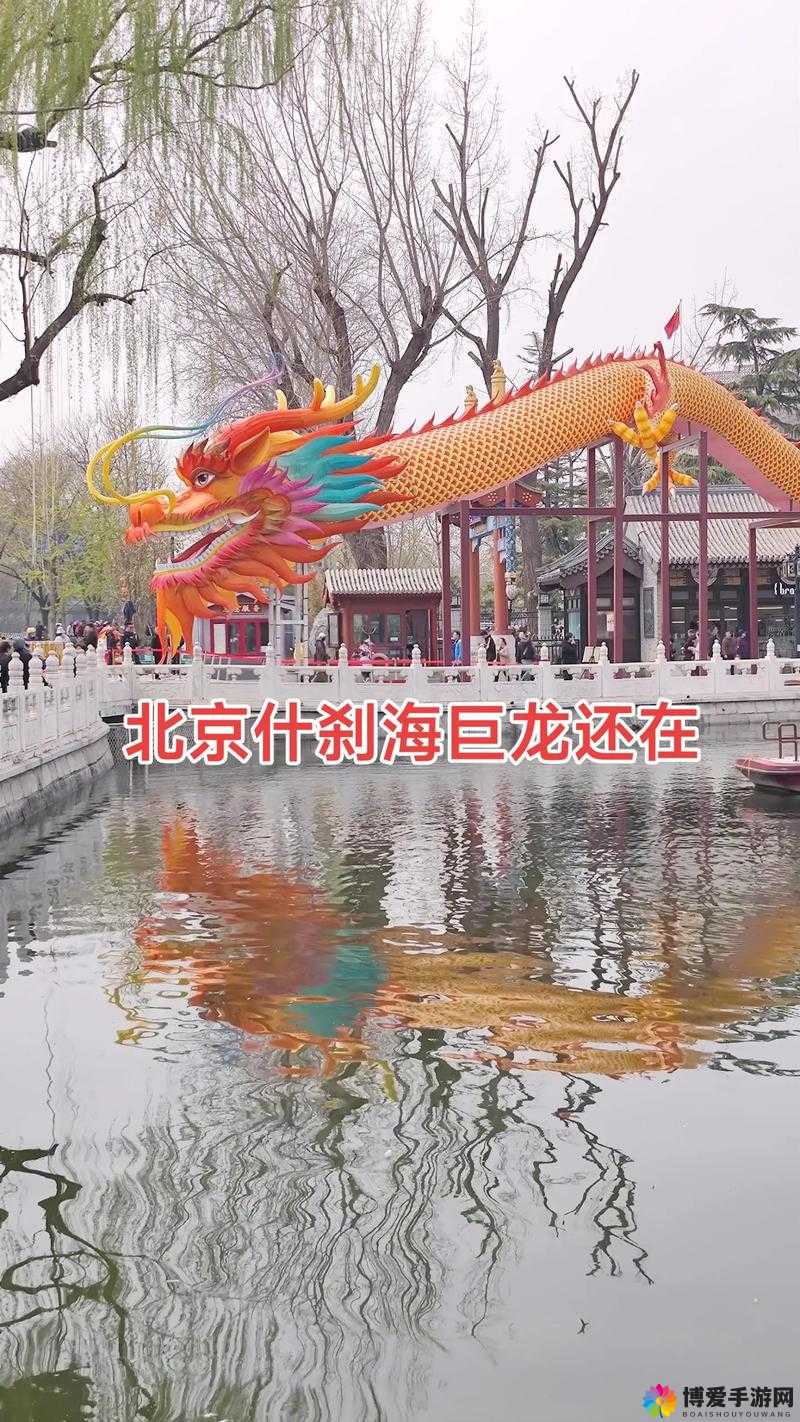早上醒来发现巨龙还在：一段令人惊心动魄的奇遇之旅
