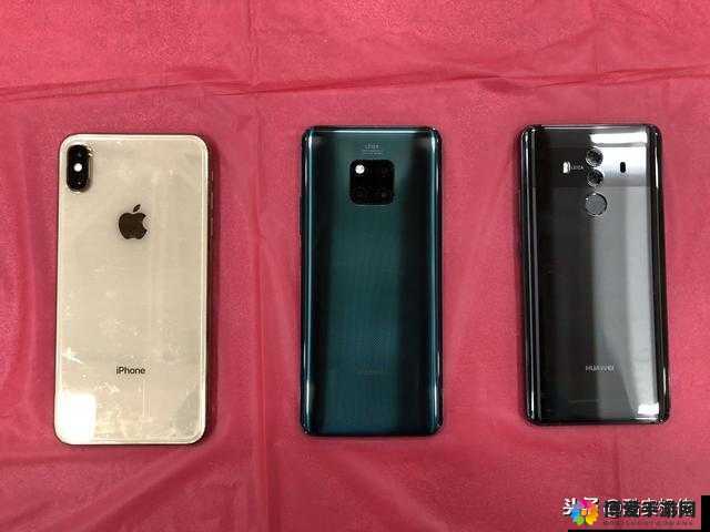 欧美无 Mate30pro 巨相关资讯及深度探讨