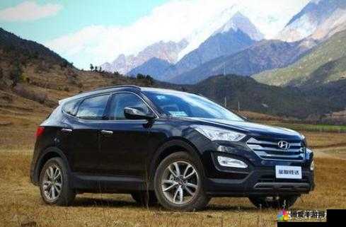国产 SUV 精二区 69：不仅是交通工具，更是生活的一部分