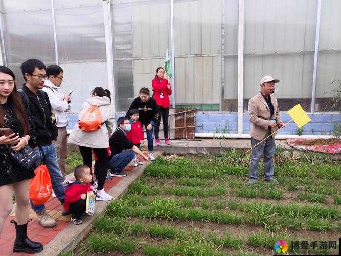 小奶娃灌溉记与普通版对比:探究两者差异及背后意义