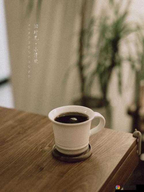 咖啡香里的旧时光 —— 探索香颂的味道
