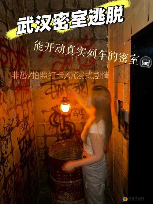密室逃亡，智慧与勇气的较量