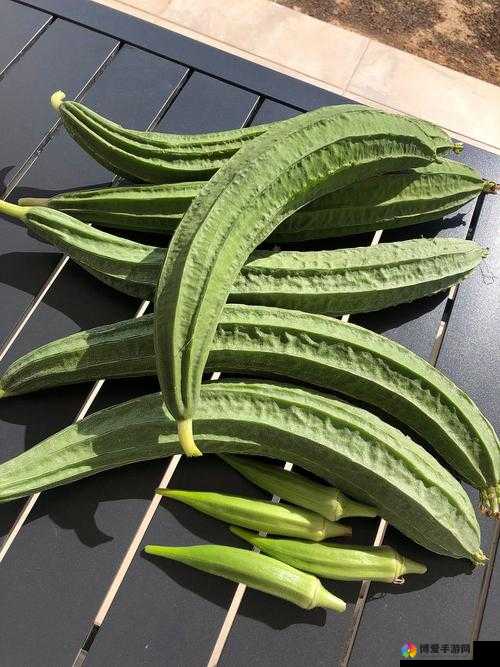 丝瓜秋葵草莓香蕉榴莲绿大全之美味水果与蔬菜的奇妙组合