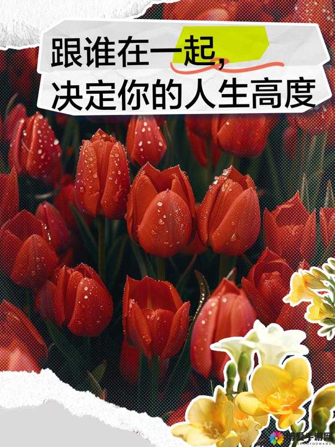 成品人精品人的意义与重要性：塑造卓越个体与推动社会发展