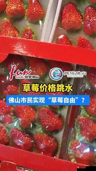 草莓传媒充值的钱能否退回来：你需要知道的事