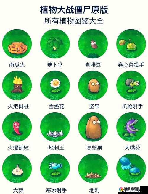 植物大战僵尸全明星植物排行榜攻略