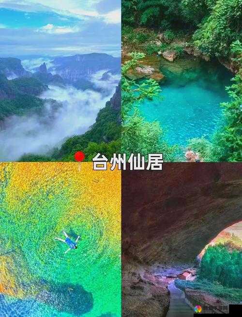 伊春园 2024 入口直达大象:带你领略独特的风景与体验