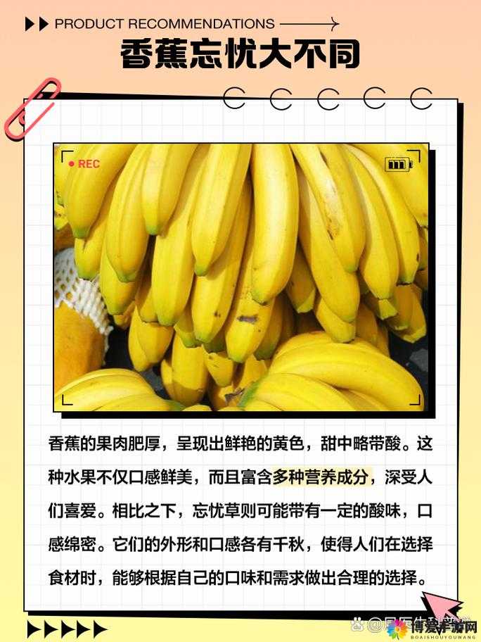 香蕉与忘忧草区别之探究：二者本质特性大不同