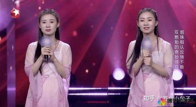 双胞胎姐妹齐上阵与众多人物的奇妙故事