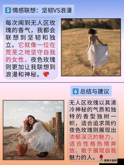 无人区玫瑰与夜色玫瑰有何区别?带你了解这两款玫瑰的奥秘
