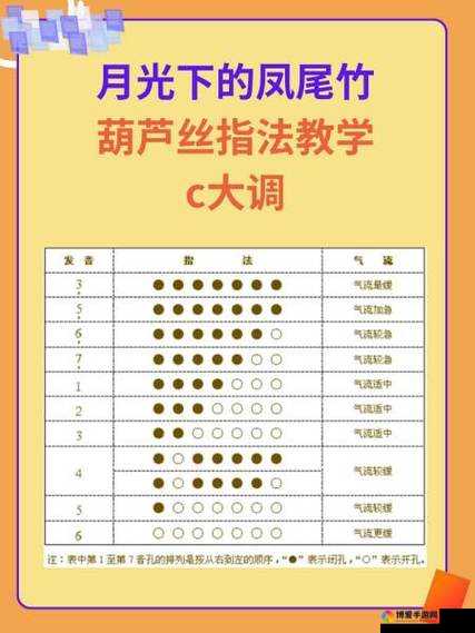 自 W 到高 C 的 50 种图片教程视频-详细全面的教学指导