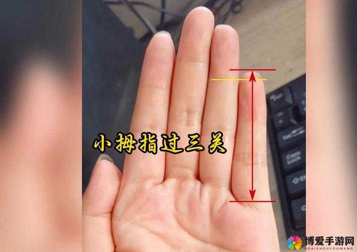 第三关应该怎么过？详细视频过关攻略及策略解析