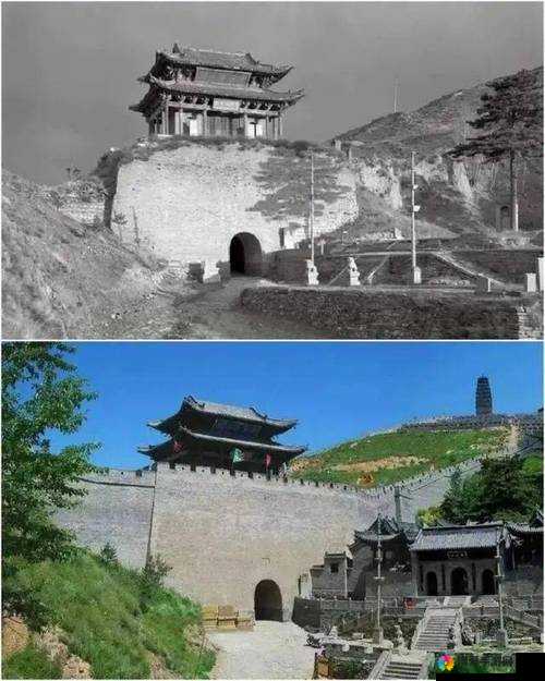08 年雁门照是否还能确切找到呢