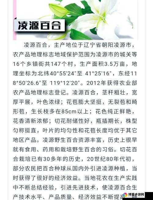 999 精产国品一二三产区区别界面：简约高级，品质之选
