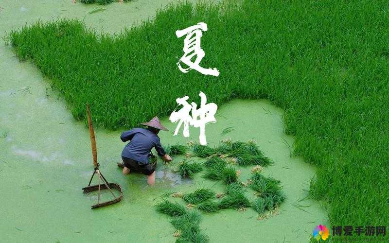 情侣的一百种插秧法：探索爱与农耕的奇妙融合