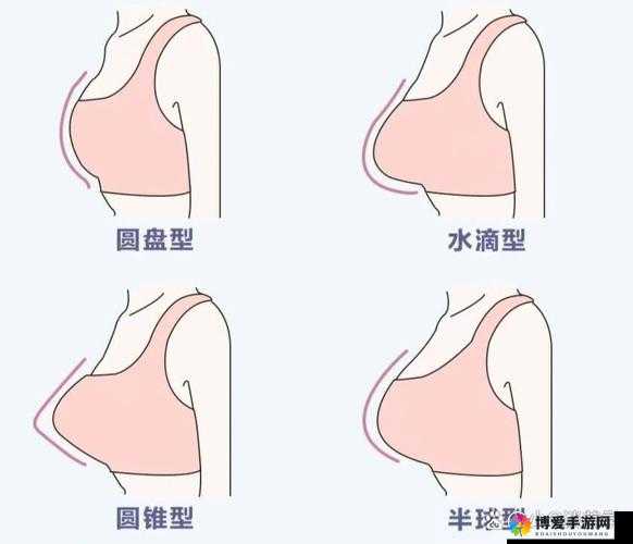 水滴型与馒头型区别解析:形状特征对比及应用场景分析