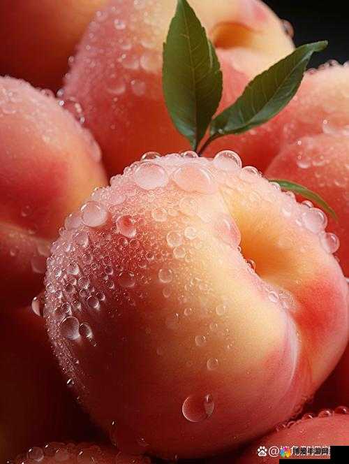 水蜜桃一品二品的独特魅力与精彩呈现