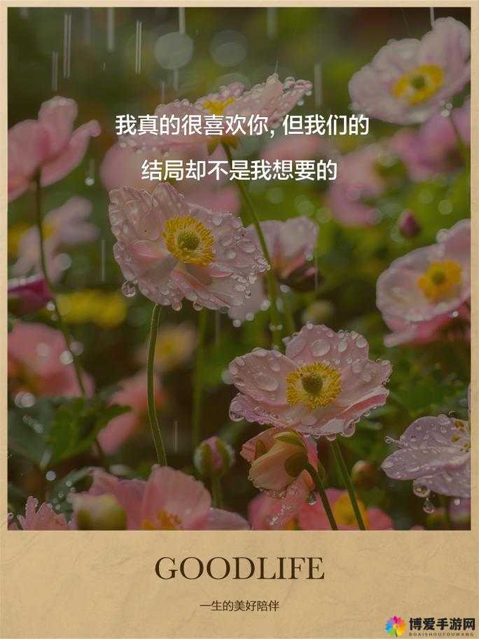 我只喜欢你11H 这份深情永远不会改变