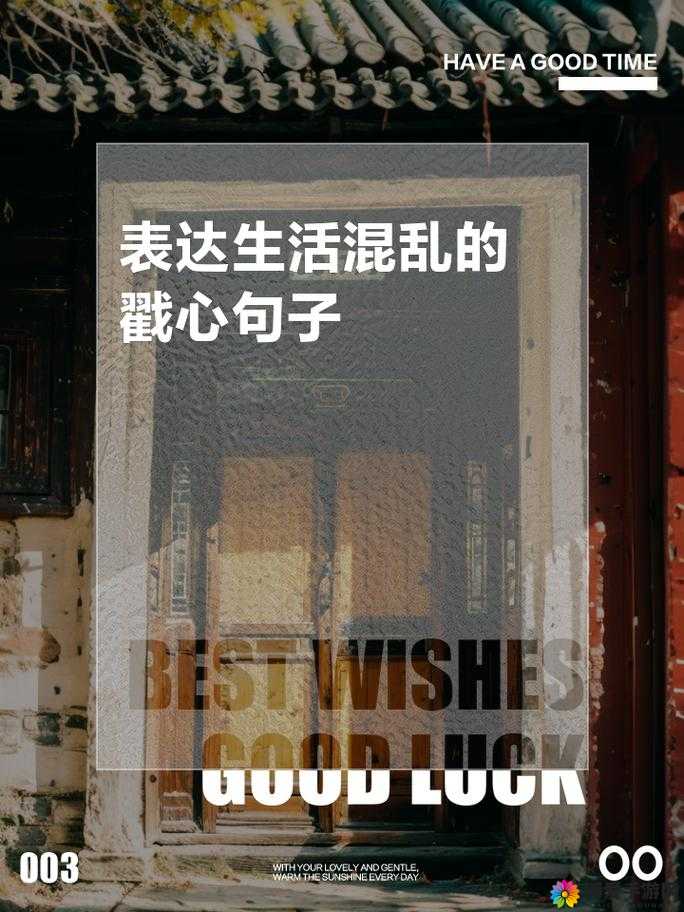 家庭大杂乱经典说说：揭秘高志远的混乱生活