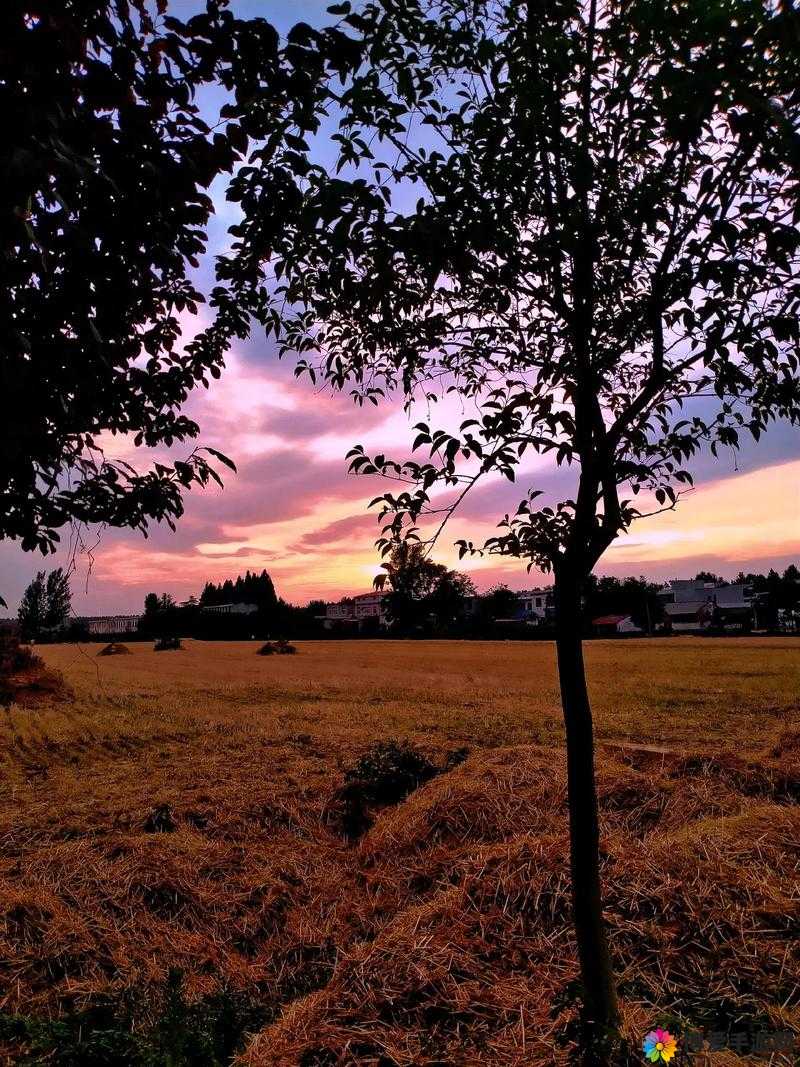 老人二进宫梅开二度的感人情景：夕阳余晖下的不屈与坚持