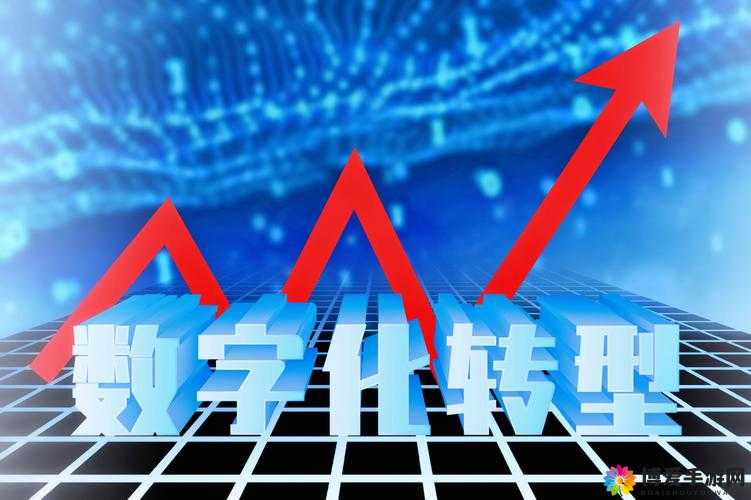 探秘国产 SSWWSSWW：从传统到现代的演变之路