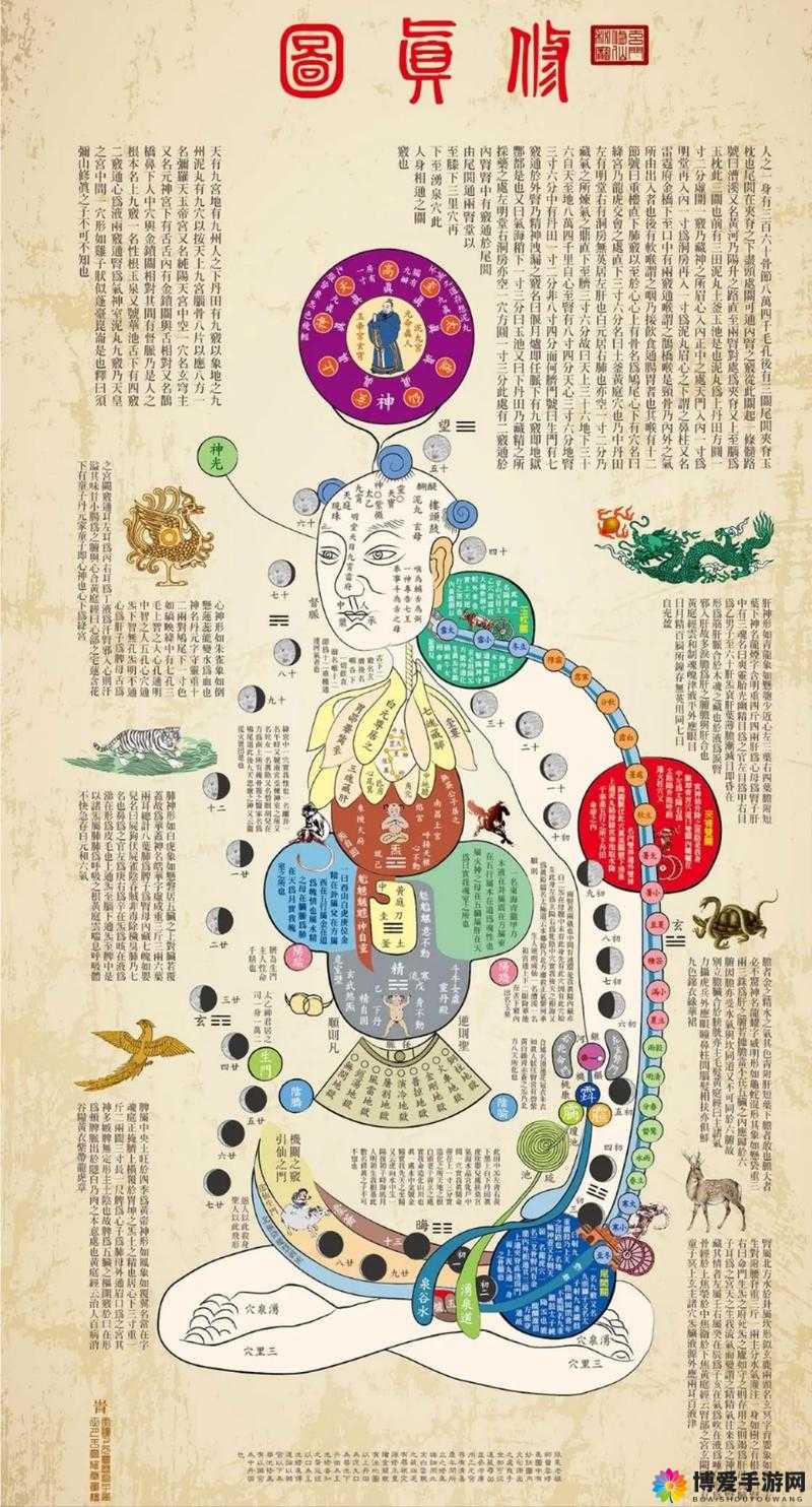 修仙之路,关键词与战力提升的奥秘