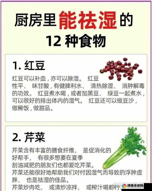 泽诺尼亚5有机的蔬菜怎么合成，玩法分享与资源管理艺术