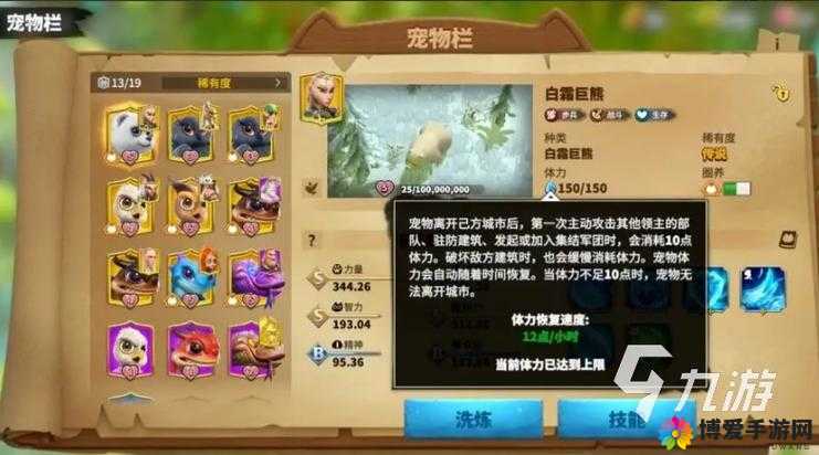 龙戗觉醒，魔法宝箱的奥秘与宠物培养攻略