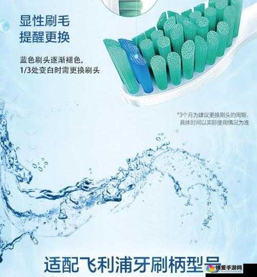 电动牙刷怎么玩自己那里带刷头吗：关于此问题的深入探讨与研究