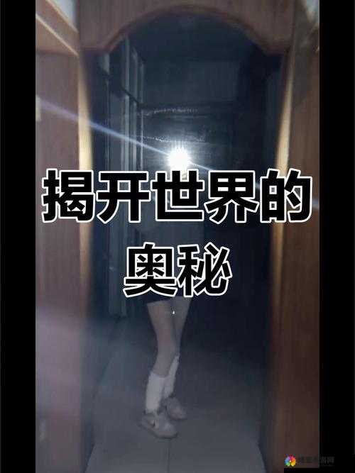 麻豆 404：探索未知的神秘世界