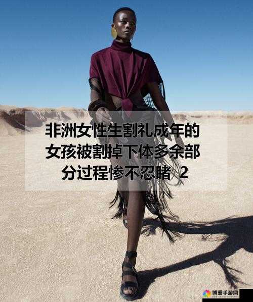 非洲女人禽 zo2o 性：探索非洲女性的性文化与社会角色