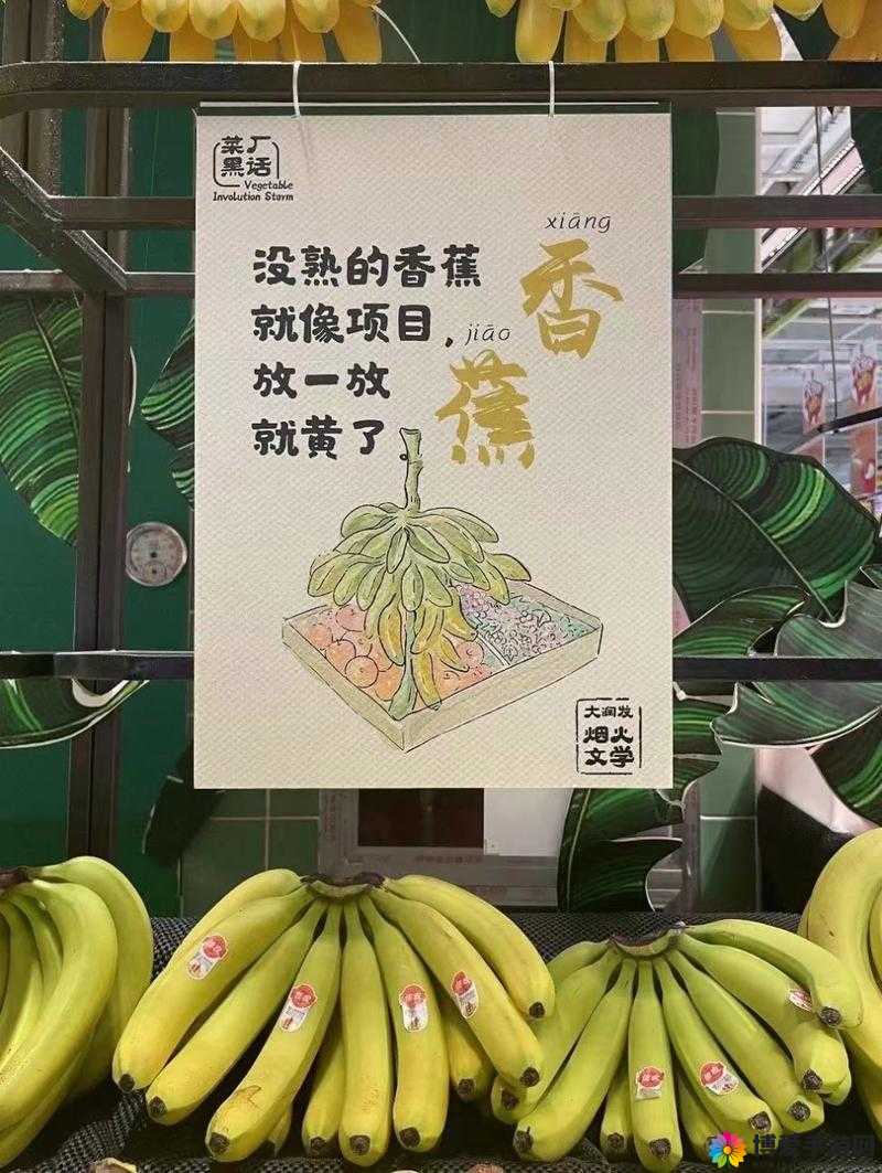 黄品汇香蕉就去干，开启别样精彩之旅
