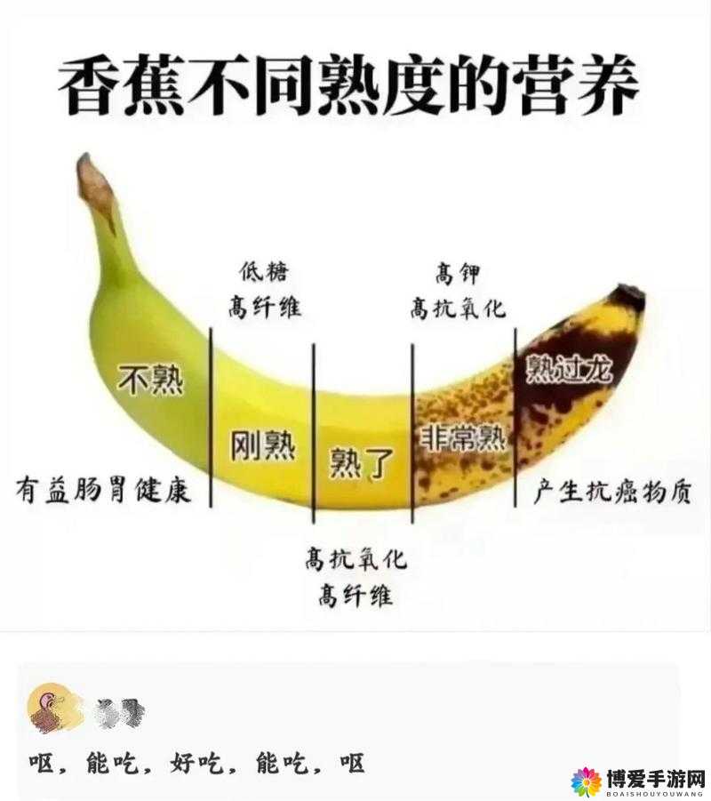 香蕉文化之香蕉的历史起源发展与多样用途及对人类的重要意义