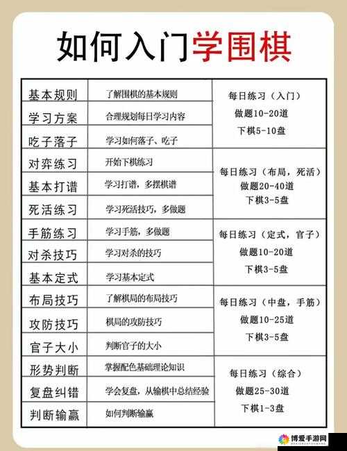 新手攻略，从零开始的全方位成长指南