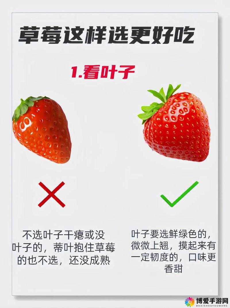 男性性功能提升秘籍：迈开腿吃草莓的神奇效果