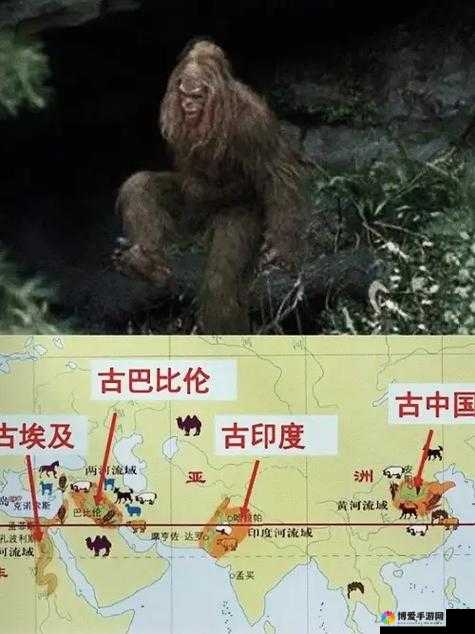无人区码一码二码三码图片全揭秘：深入探索神秘影像世界