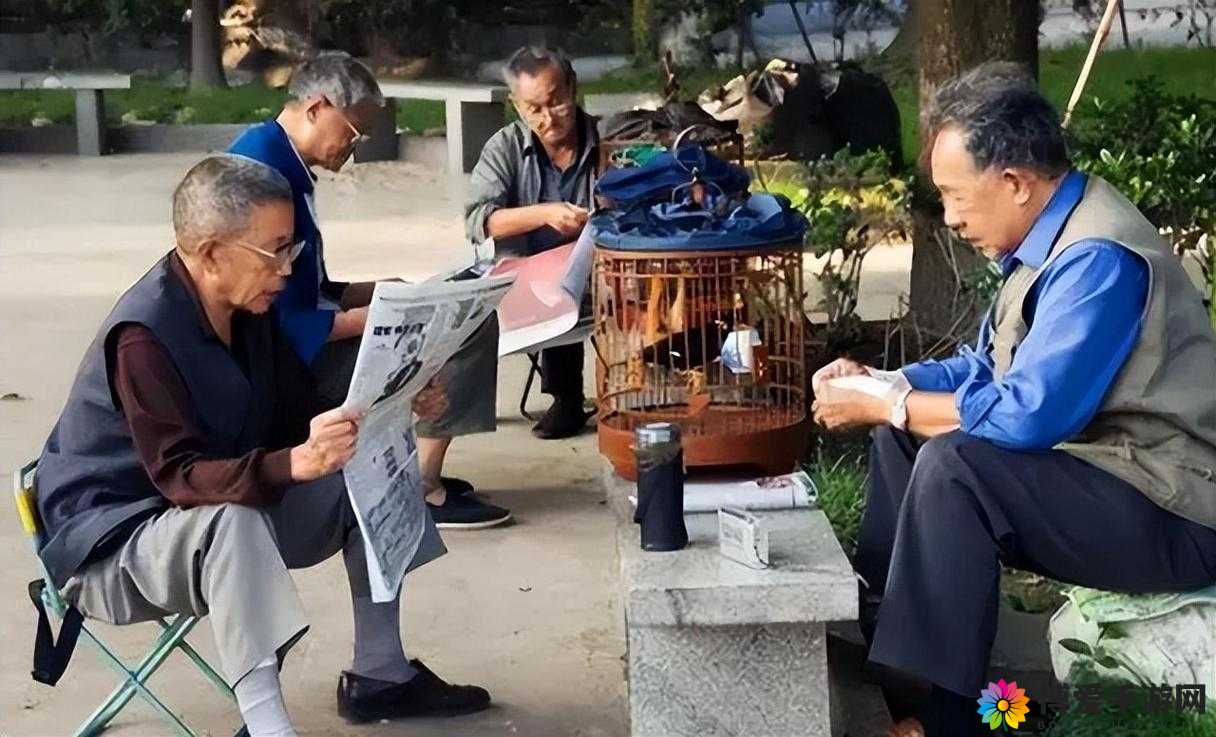 老孙头退休后日大女儿名为某某的生活点滴