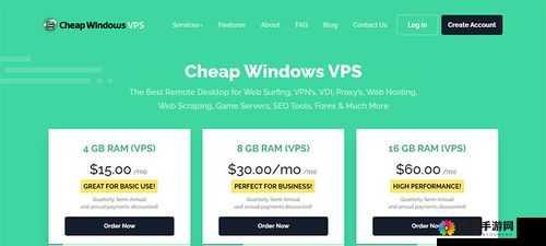肥胖 VPSWINDOWS：挑战与解决方案