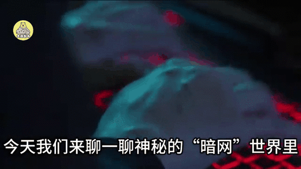 探索蝌蚪窝璜铯网站背后的隐秘世界