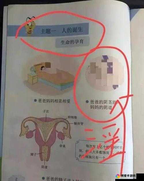 污污污视频免费在线观看精彩不容错过啦