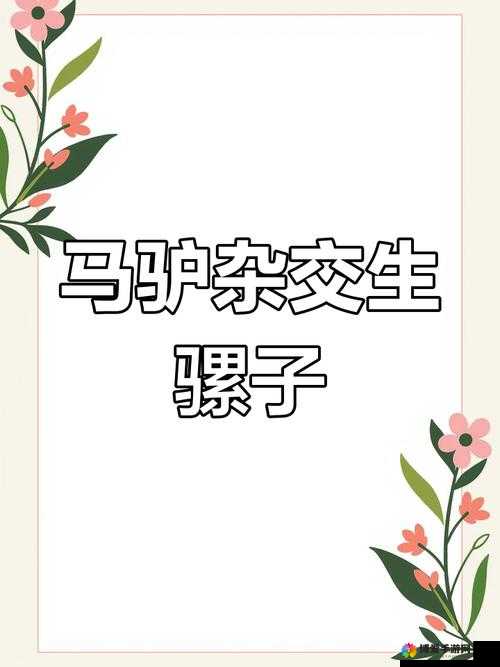 黑骡子 1 到 8 章最火的一句：那匹黑骡子真健壮啊：关于黑骡子的深度解析