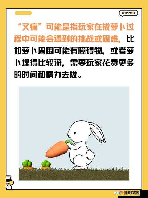 二次元拔萝卜生猴子：关于其的有趣故事和奇妙幻想