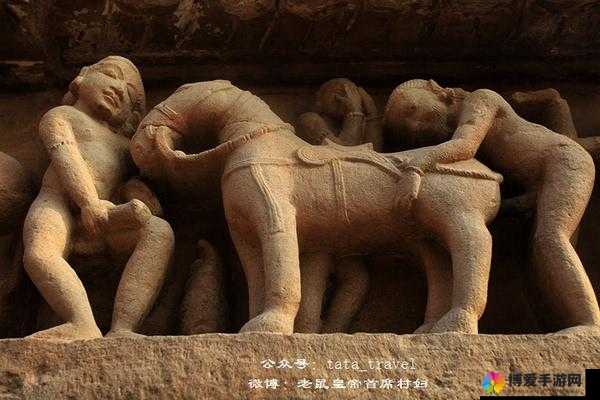 女人与物交ZOZO：一场禁忌的性爱之旅