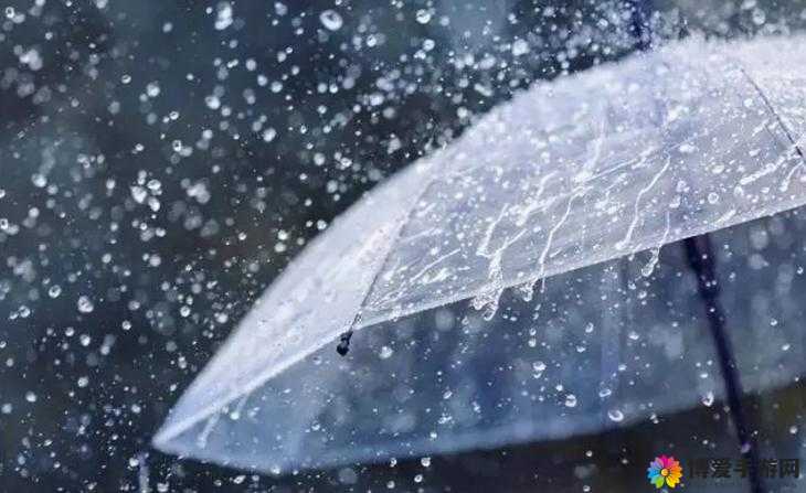 中に突然の大雨一雨宿：一场意外大雨带来的特别留宿体验