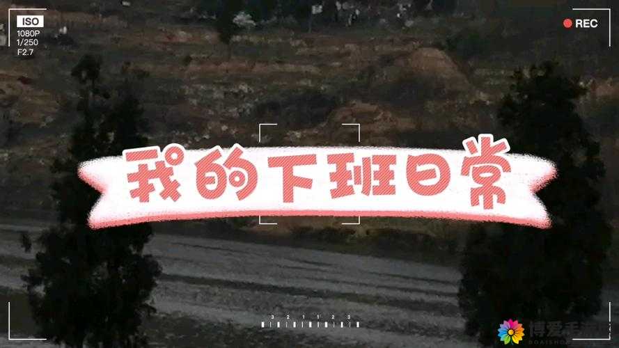 做班级里的公交车,我愿意为大家服务