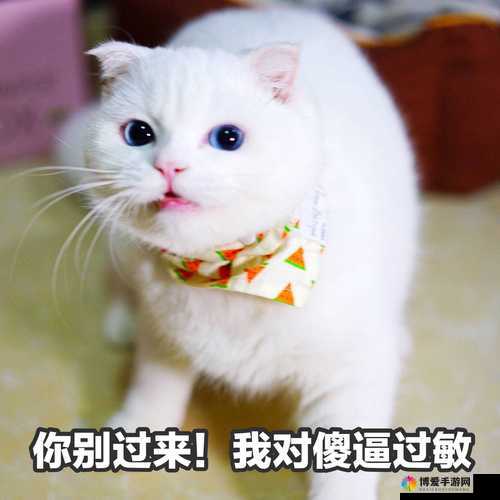 紧紧抓住我吧老公最有效的回复：教你如何巧妙回应