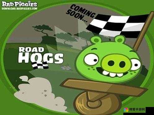 捣蛋猪ROAD HOGS图文攻略R-1关在资源管理中的重要性及高效利用策略
