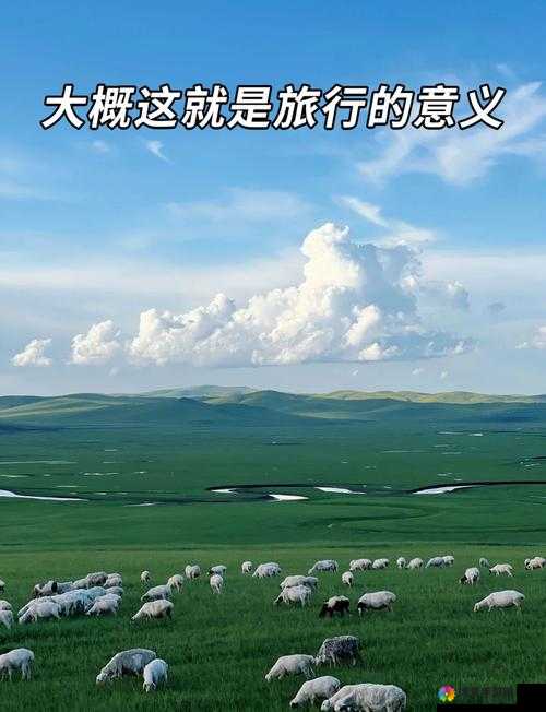探索世界的奥秘，一次心灵与智慧的深度旅行
