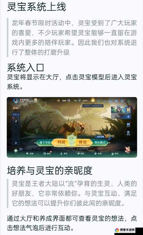 白发魔女传灵宝系统介绍及其在资源管理中的重要性